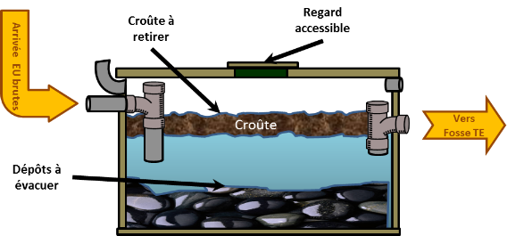 fosse septique frequence vidange